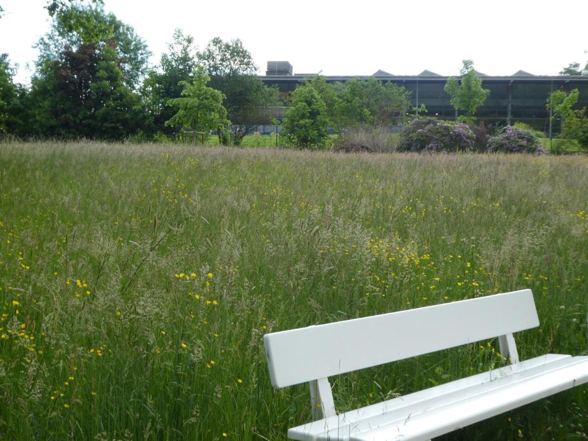 Ferienwohnung Am Hirschpark Bad Pyrmont Bagian luar foto