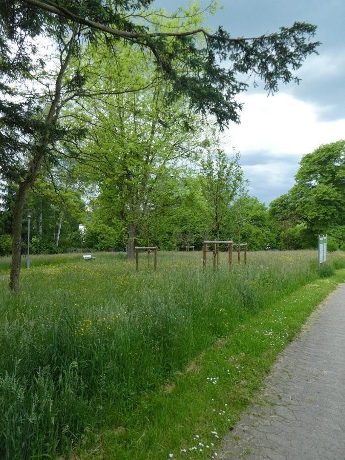 Ferienwohnung Am Hirschpark Bad Pyrmont Bagian luar foto